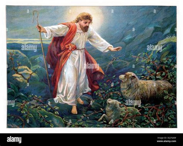 Discoveries From The Missing Sheep And Kangaroo